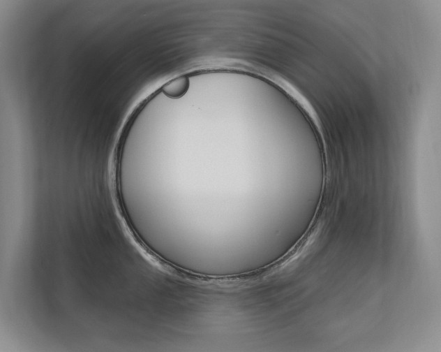 X0000110701053200906121032