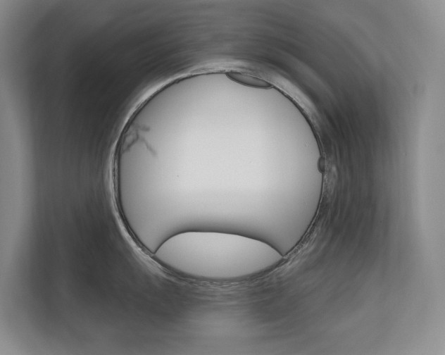 X0000110701055200906121032