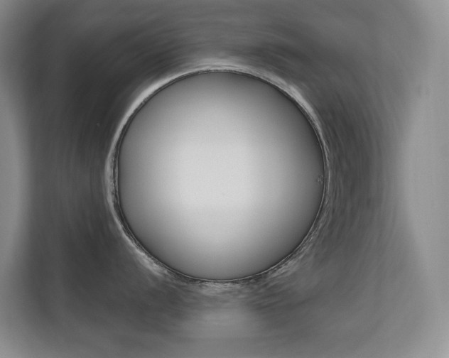 X0000110701056200906121032