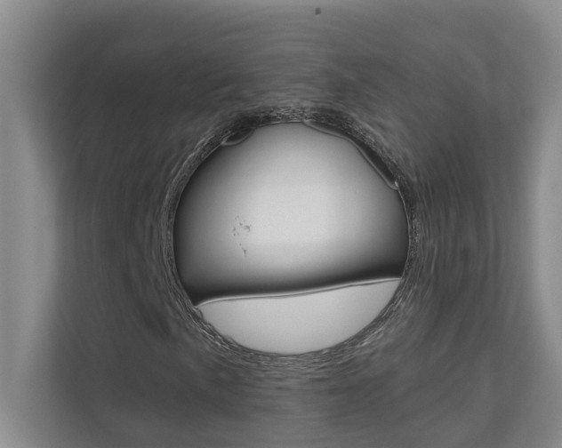 X0000110701057200906121031