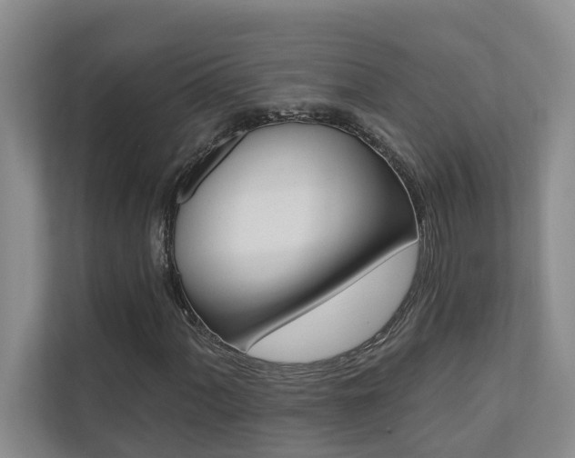 X0000110701060200906121031