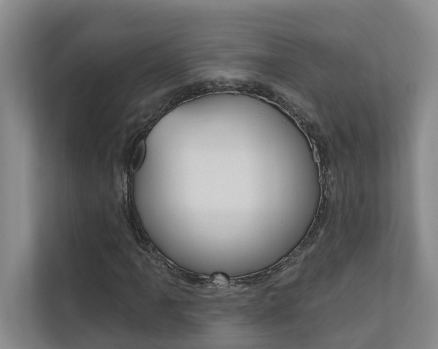 X0000110701061200906121031