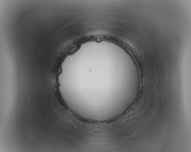 X0000110701062200906121031