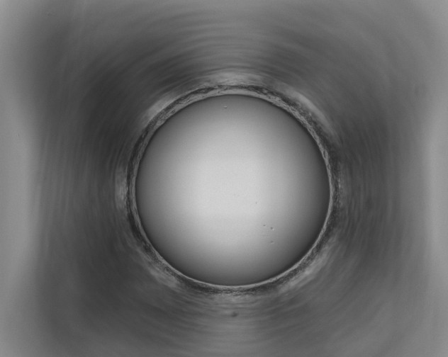 X0000110701065200906121031