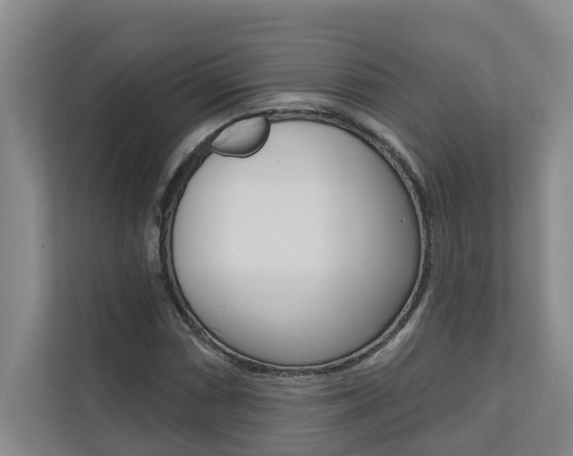 X0000110701066200906121031