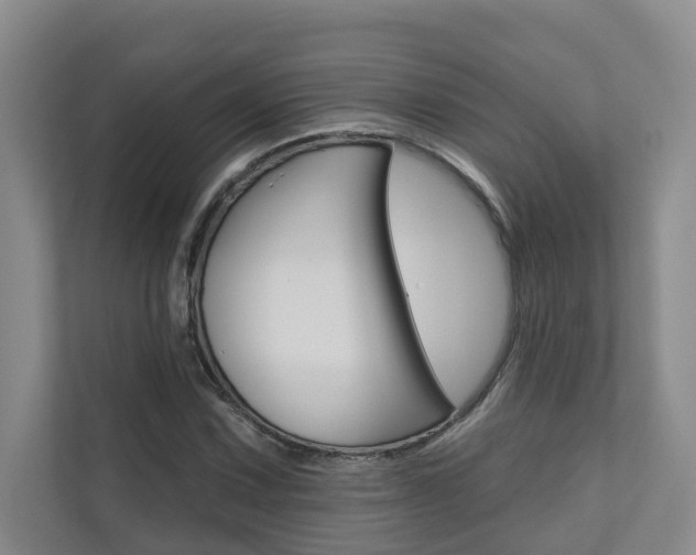 X0000110701067200906121031