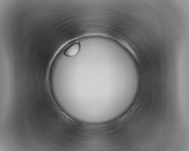 X0000110701068200906121031