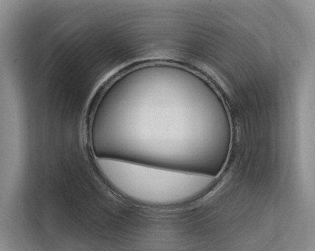 X0000110701069200906121031