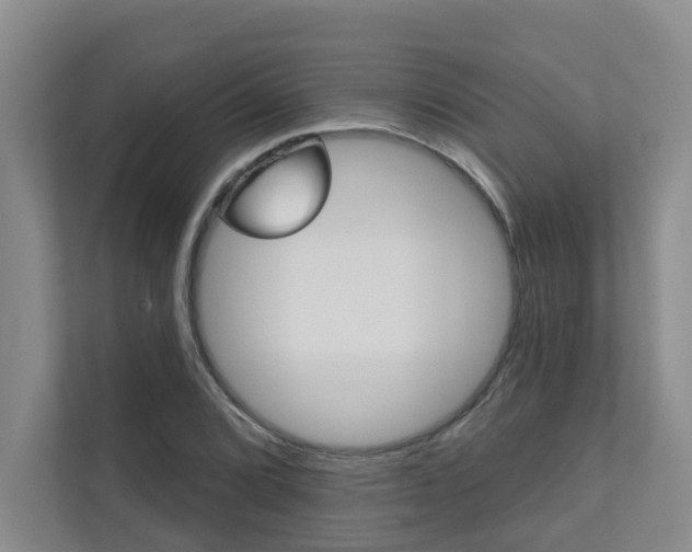 X0000110701072200906121031