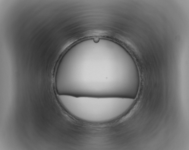 X0000110701073200906121031