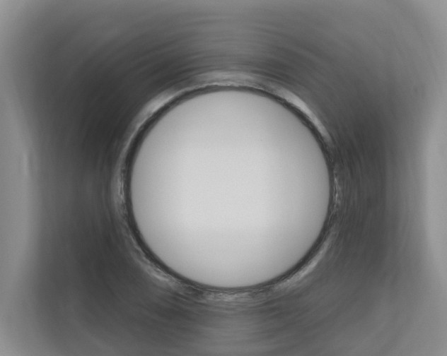 X0000110701074200906121031