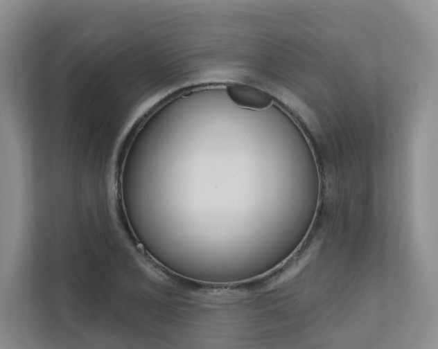 X0000110701077200906121031