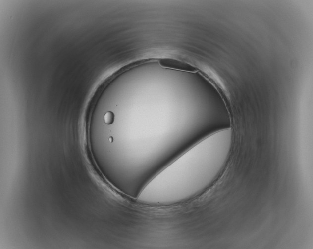 X0000110701080200906121031