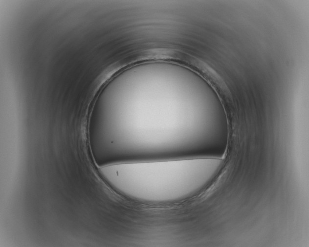X0000110701081200906121031