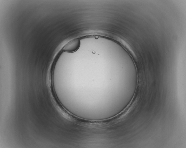 X0000110701082200906121031