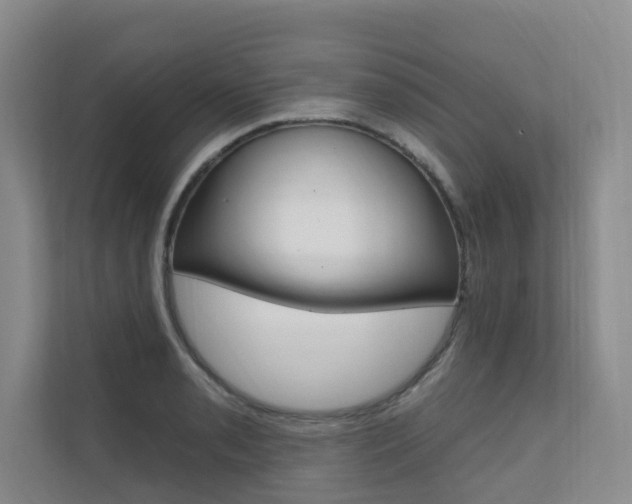 X0000110701085200906121031