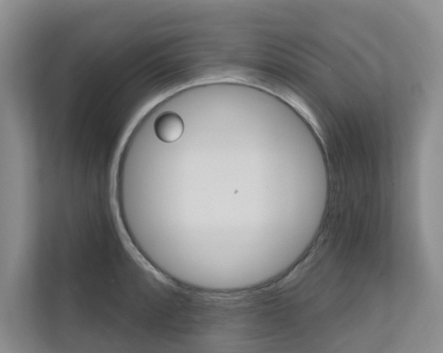 X0000110701088200906121031
