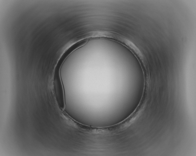 X0000110701089200906121031