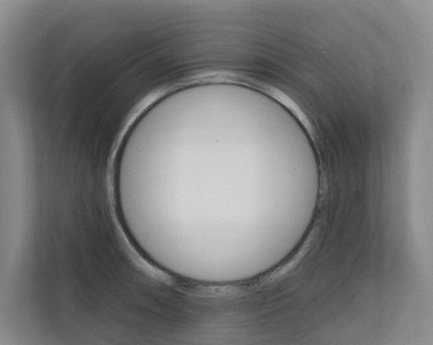 X0000110701090200906121031