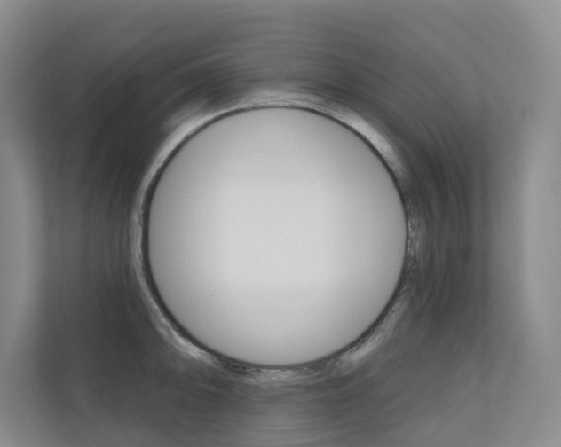 X0000110701094200906121031
