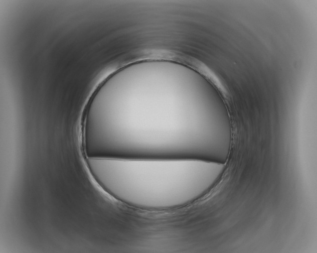 X0000110701095200906121031