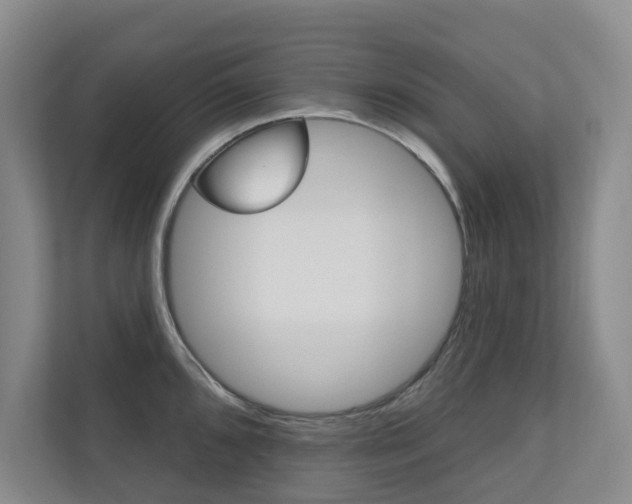X0000110701096200906121031