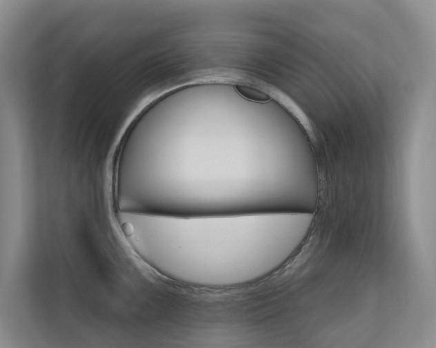 X0000110701099200906121031