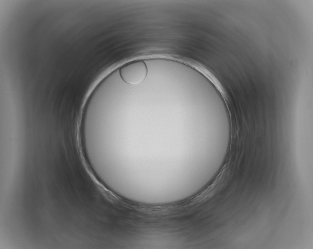X0000110701101200906121031