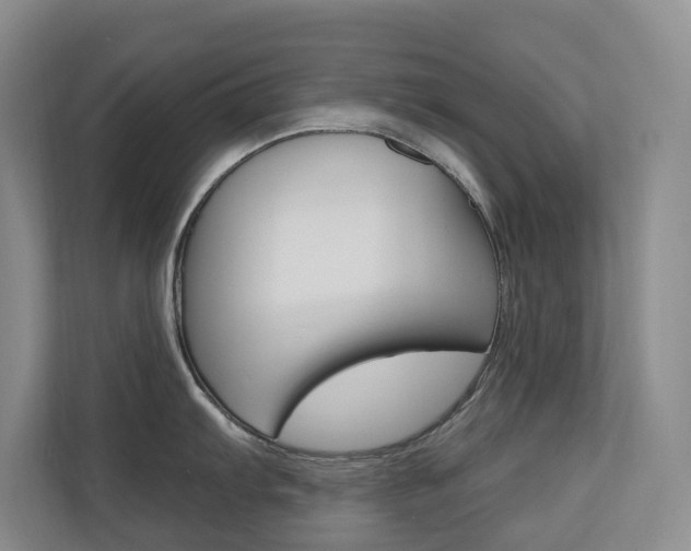 X0000110701103200906121031