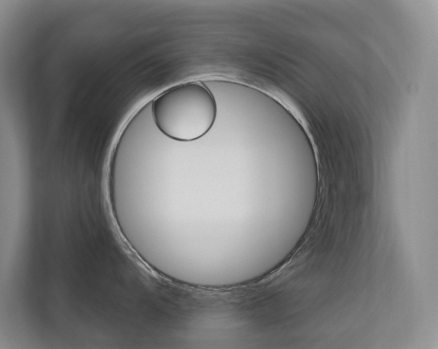 X0000110701104200906121031
