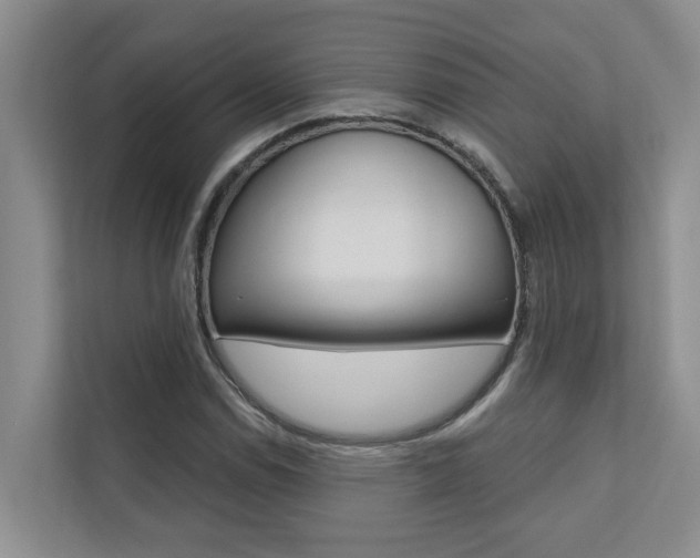 X0000110701114200906121030