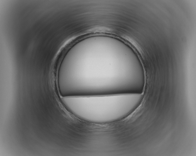X0000110701115200906121030