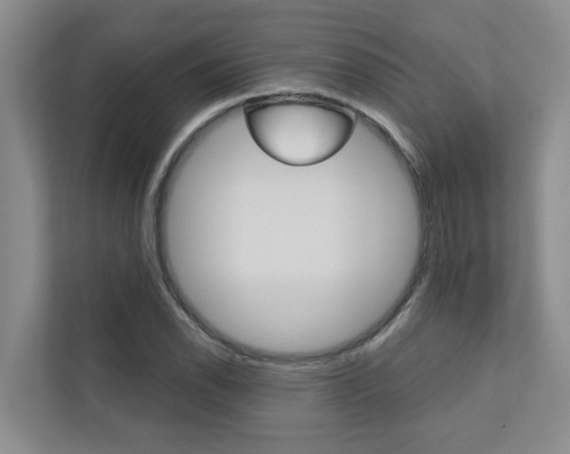 X0000110701118200906121030