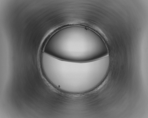 X0000110701122200906121030