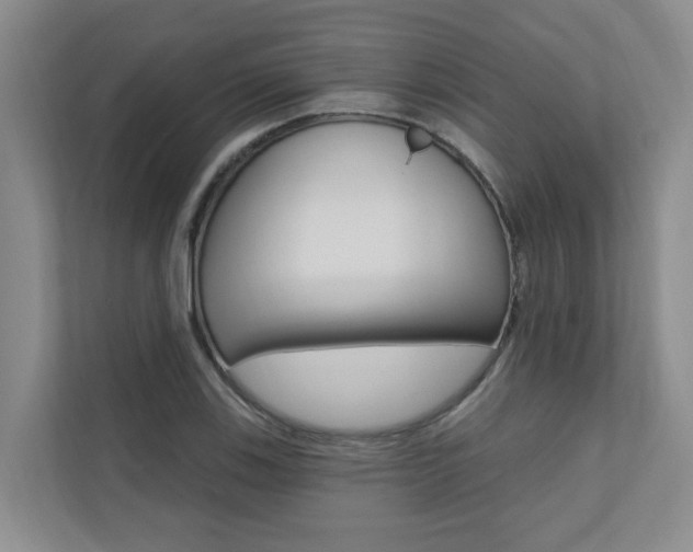X0000110701123200906121030