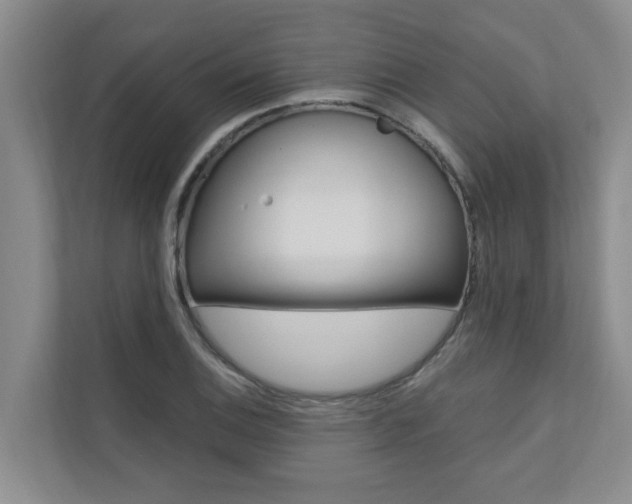 X0000110701124200906121030