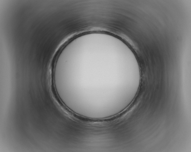 X0000110701126200906121030