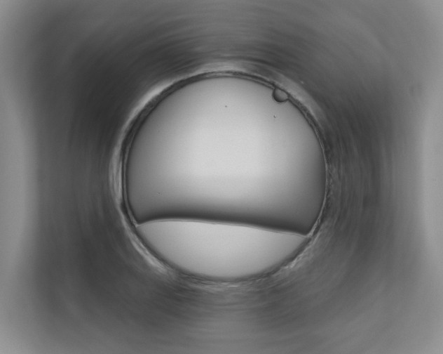X0000110701127200906121030
