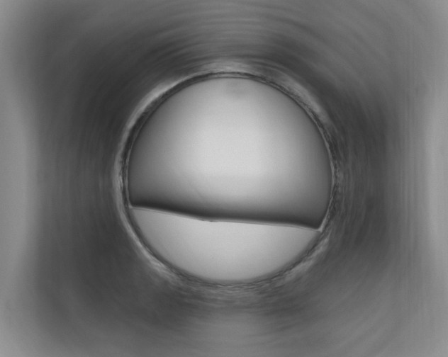 X0000110701133200906121030