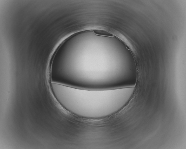 X0000110701140200906121030