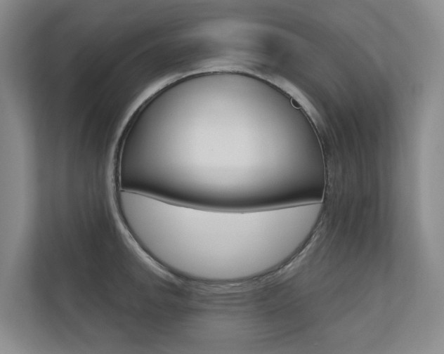X0000110701142200906121031