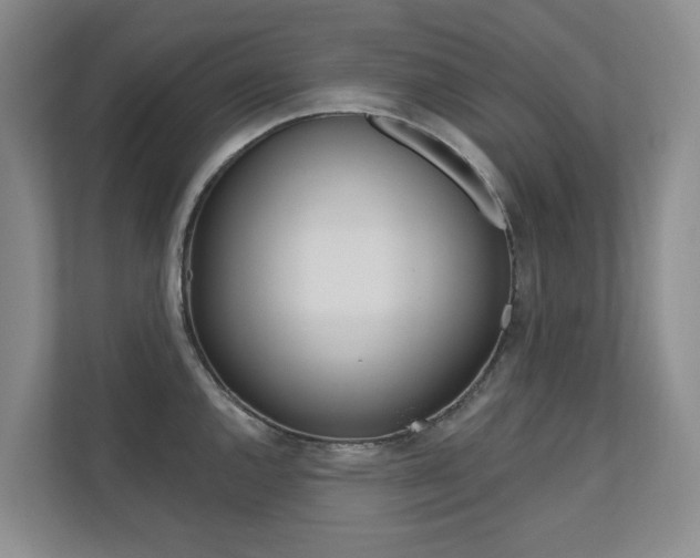 X0000110701144200906121031