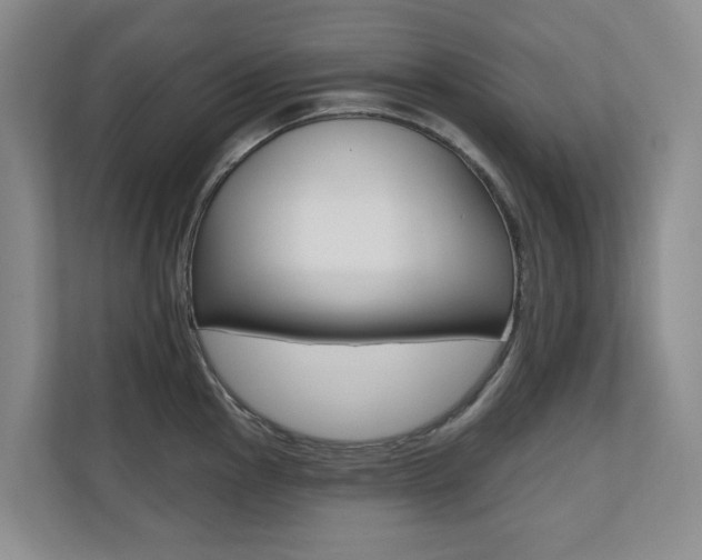 X0000110701145200906121031