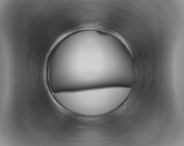 X0000110701147200906121031