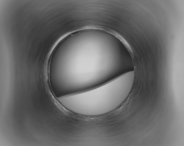 X0000110701148200906121031
