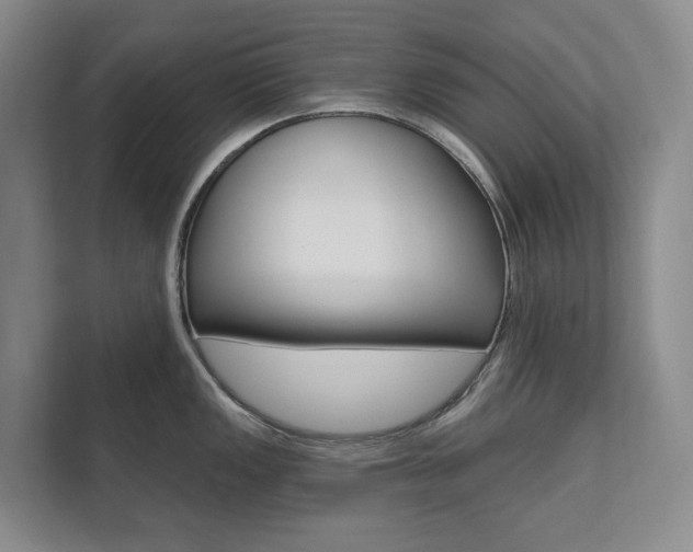 X0000110701149200906121031