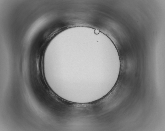 X0000110701150200906121031