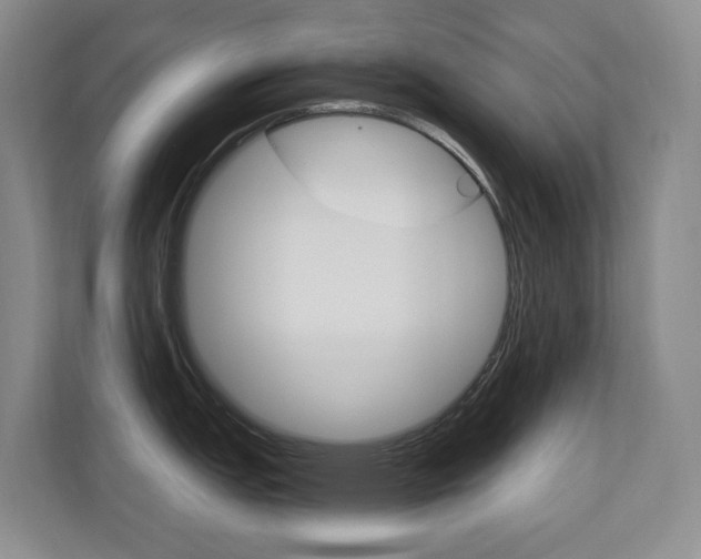 X0000110701151200906121031