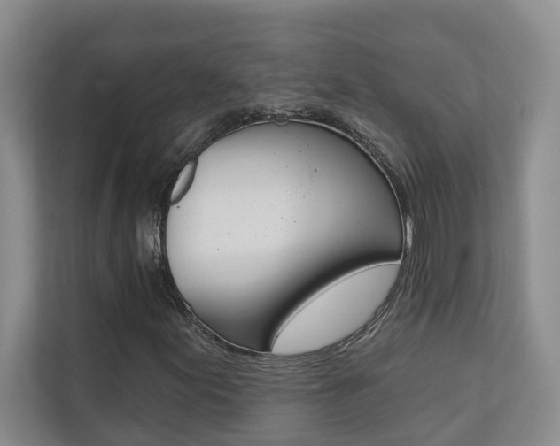 X0000110701155200906121030