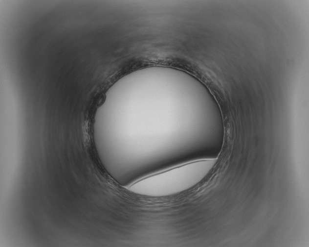 X0000110701156200906121030